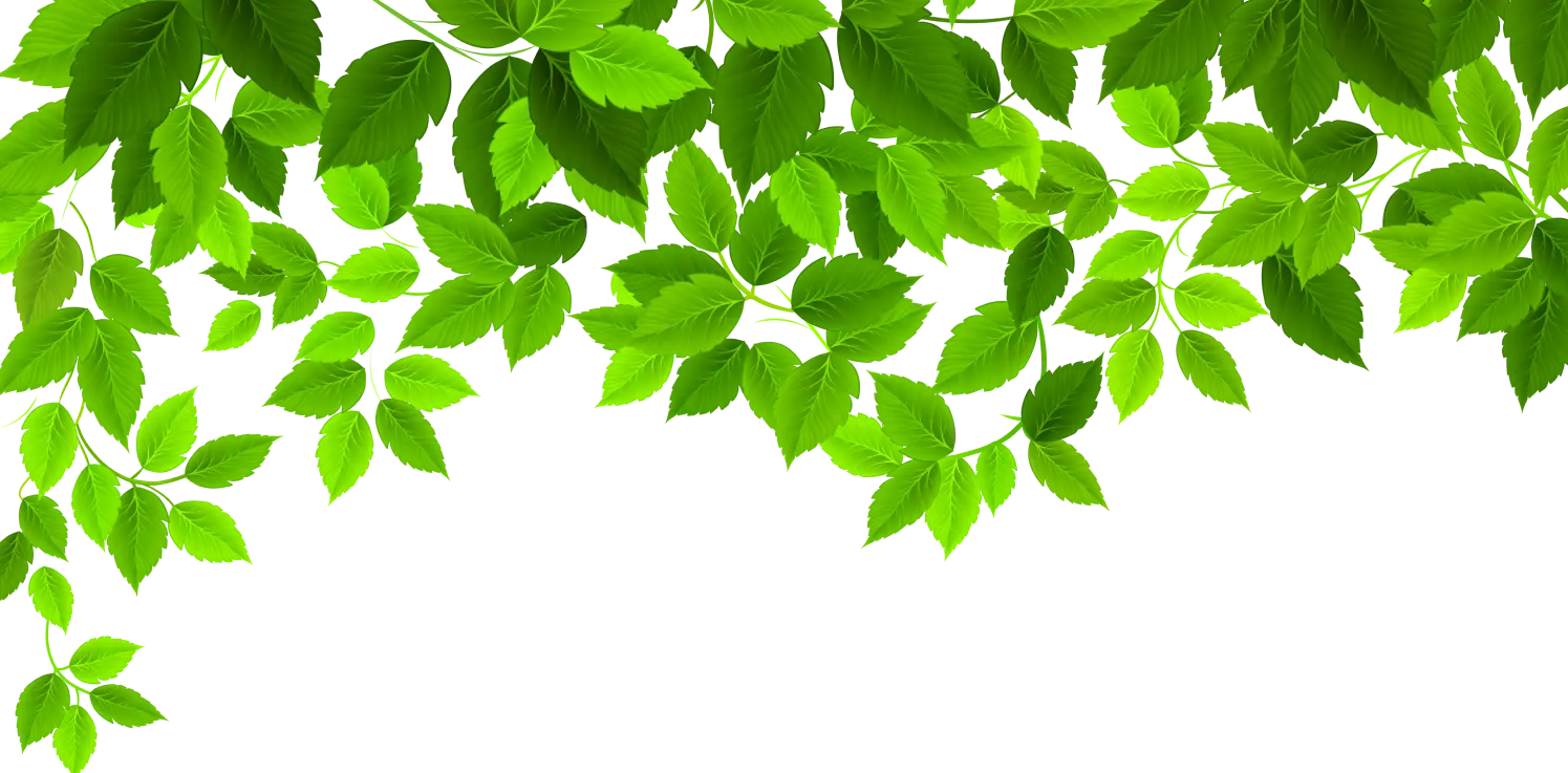 Background leaves