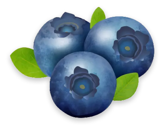 Blueberry image